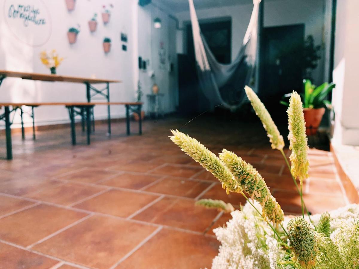 Maria Magdalena - Room 5 มาลากา ภายนอก รูปภาพ